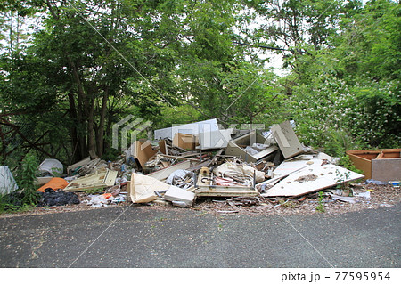 ゴミ 77595954