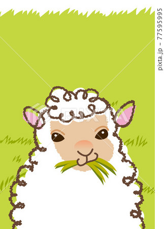 芝生とヒツジのイラスト 77595995