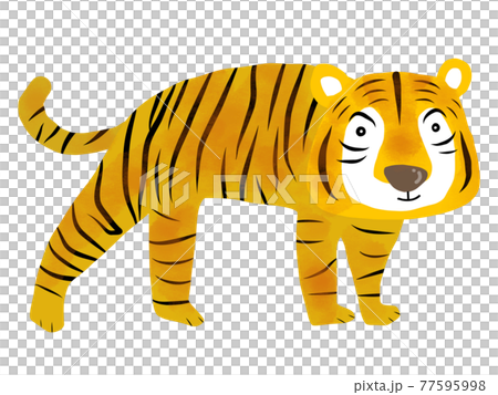 Dora   77595998