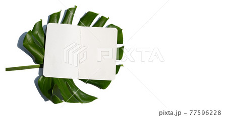 Blank paper with leaves on white background. Blank paper with leaves on white background. 77596228