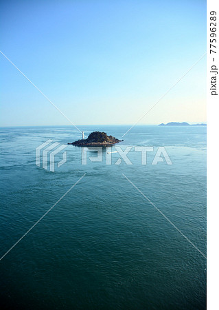 豊かなる鳴門海峡の特産海産物漁場 豊かなる鳴門海峡の特産海産物漁場 77596289