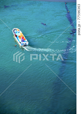 豊かなる鳴門海峡の特産海産物漁場 豊かなる鳴門海峡の特産海産物漁場 77596363