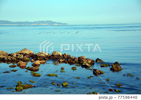 豊かなる鳴門海峡の特産海産物漁場 豊かなる鳴門海峡の特産海産物漁場 77596440