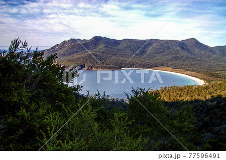 オーストラリア　タスマニア州フレシネ国立公園　ワイングラスベイ 77596491