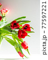 Beautiful spring tulips flowers 77597221
