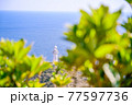 五島列島の大瀬崎灯台 77597736