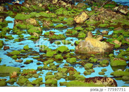 穏やかな鳴門海峡の美しい海辺 77597751