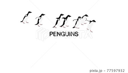 装飾素材「ペンギン」 装飾素材「ペンギン」 77597932