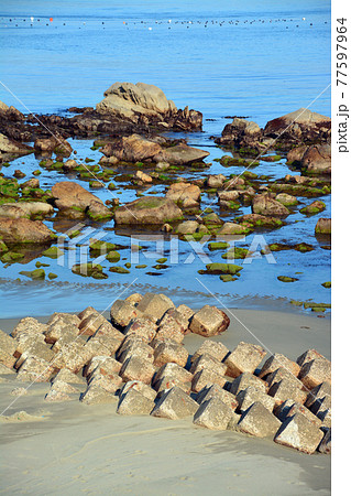 穏やかな鳴門海峡の美しい海辺 穏やかな鳴門海峡の美しい海辺 77597964