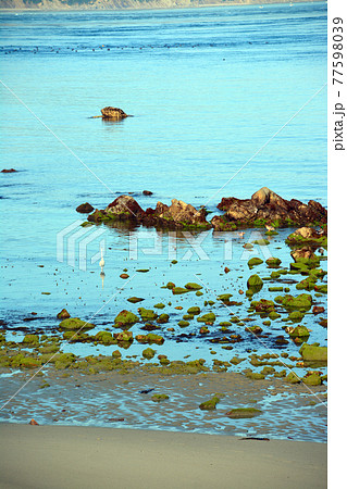 穏やかな鳴門海峡の美しい海辺 穏やかな鳴門海峡の美しい海辺 77598039