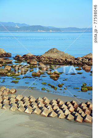 穏やかな鳴門海峡の美しい海辺 穏やかな鳴門海峡の美しい海辺 77598046