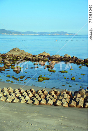 穏やかな鳴門海峡の美しい海辺 穏やかな鳴門海峡の美しい海辺 77598049