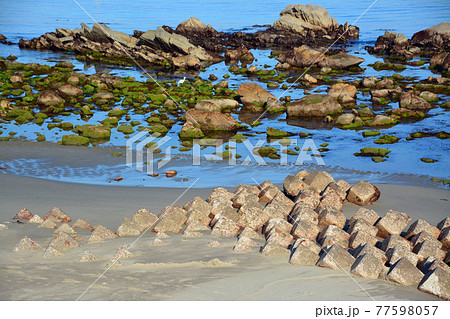 穏やかな鳴門海峡の美しい海辺 穏やかな鳴門海峡の美しい海辺 77598057