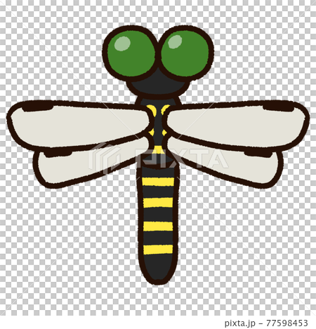 Cute Anotogaster Dragonfly Stock Illustration