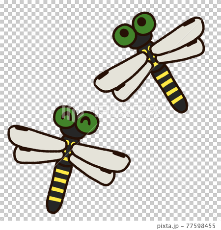 かわいい二匹のオニヤンマ 77598455