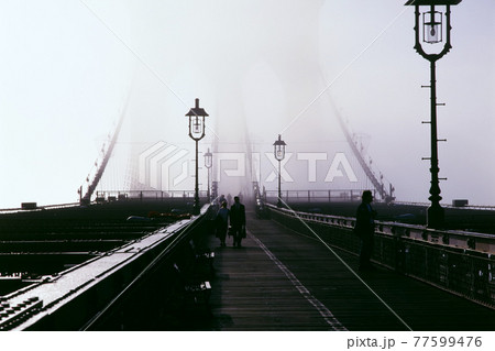 霧に包まれたブルックリン橋 77599476