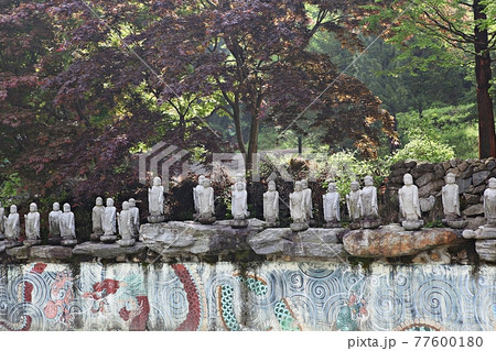 スポット 社員 寺院 77600180