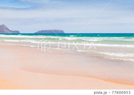 Sandy beach landscape on a sunny day Sandy beach landscape on a sunny day 77600953