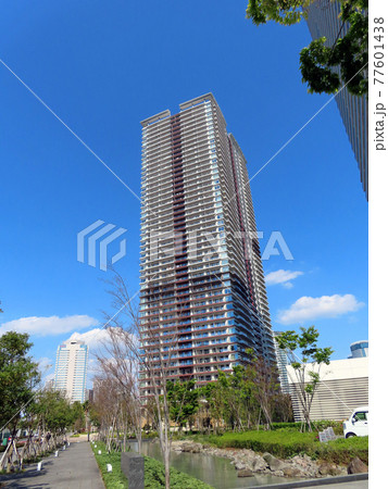 晴海の高層マンション 晴海の高層マンション 77601438