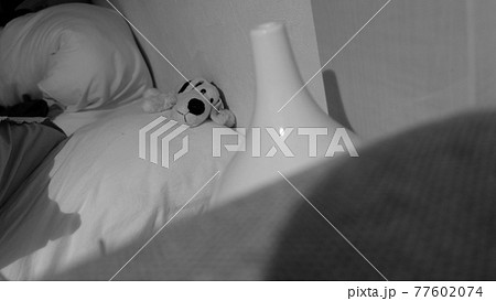 インテリアとぬいぐるみ インテリアとぬいぐるみ 77602074