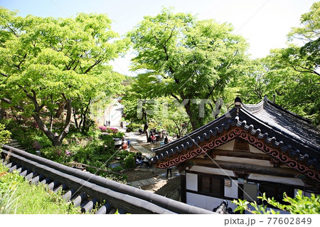 寺院 韓屋 社員 77602849