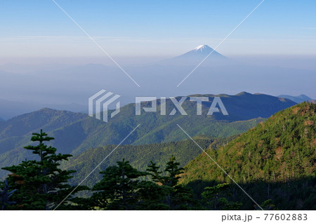 長野県と山梨県の県境にある国師ヶ岳から見る富士山の写真素材