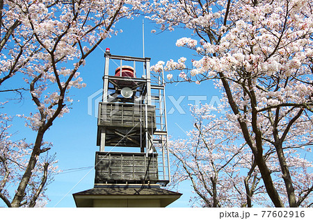 飯梨川沿いの土手に設置されている和風の外観の警報設備と満開の桜の風景 … 島根県 安来市（快晴） 77602916