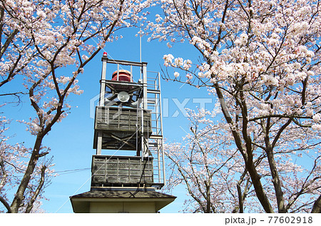 飯梨川沿いの土手に設置されている和風の外観の警報設備と満開の桜の風景 … 島根県 安来市(快晴) 飯梨川沿いの土手に設置されている和風の外観の警報設備と満開の桜の風景 … 島根県 安来市(快晴) 77602918