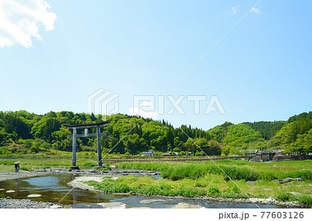 大きな川の中にそびえ立つ大きな鳥居 77603126