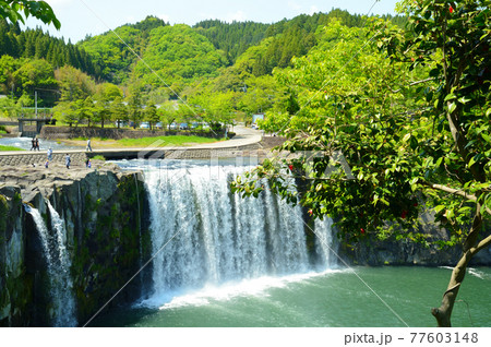 緒方の滝 77603148