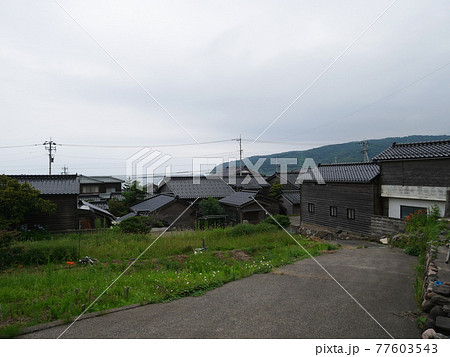 空き地と民家 77603543