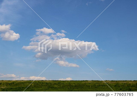 爽やかな空 河川敷 渡良瀬 春 風景 爽やかな空 河川敷 渡良瀬 春 風景 77603765