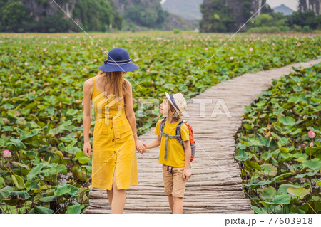 Mother and son in a yellow on the path among the lotus lake. Mua Cave, Ninh Binh, Vietnam. Vietnam reopens after quarantine Coronovirus COVID 19 concept 77603918