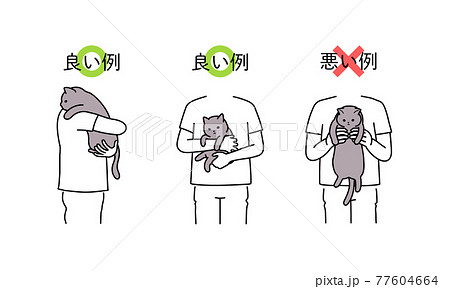 猫の抱っこの仕方 良い例と悪い例のイラスト素材 [77604664] - PIXTA