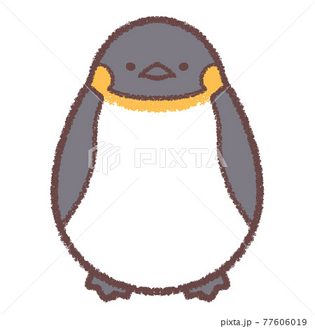 コウテイペンギン コウテイペンギン 77606019
