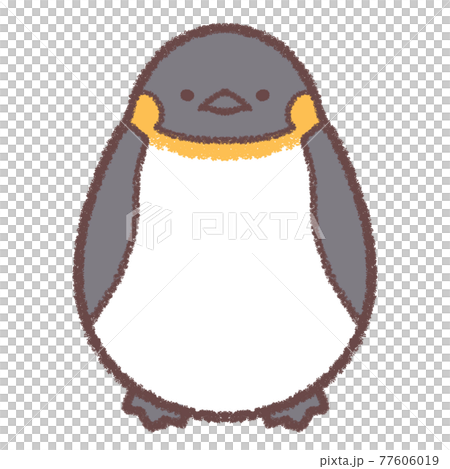 コウテイペンギン コウテイペンギン 77606019