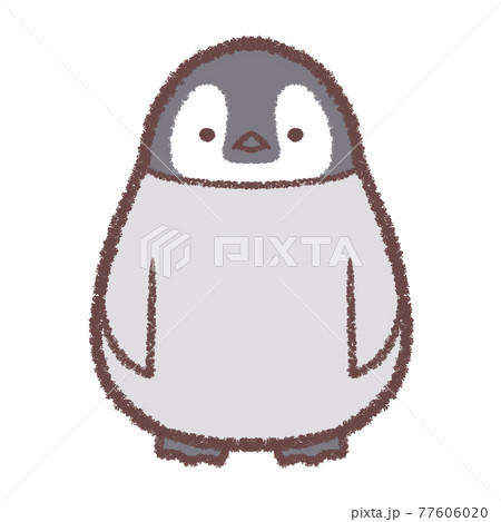 コウテイペンギンのヒナ コウテイペンギンのヒナ 77606020