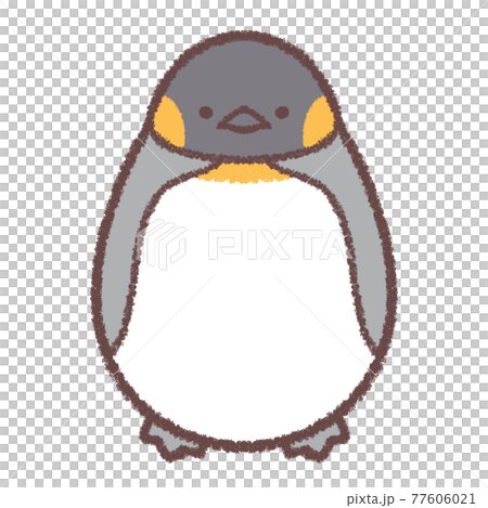 Crow Penguin 77606021