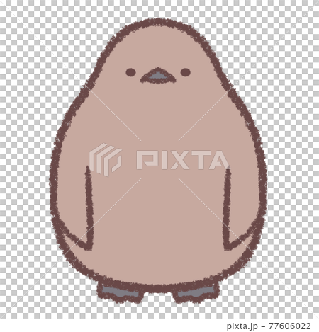 オウサマペンギンのヒナ 77606022