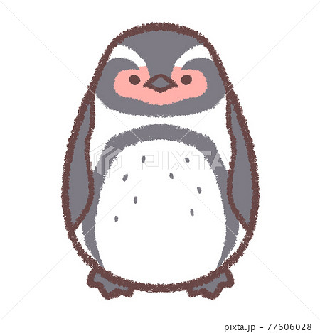 フンボルトペンギン 77606028