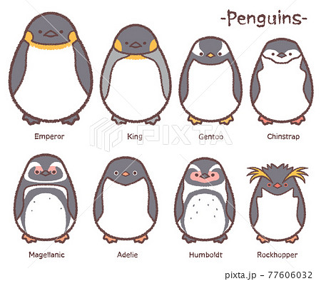 ペンギン8種類セット名前文字入り 77606032