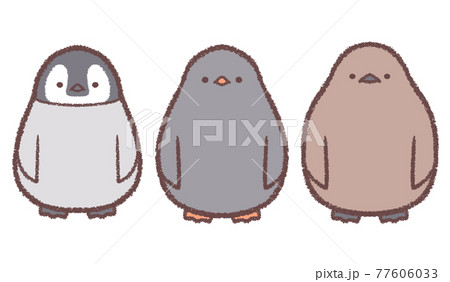 ペンギンのヒナ3種類セット 77606033