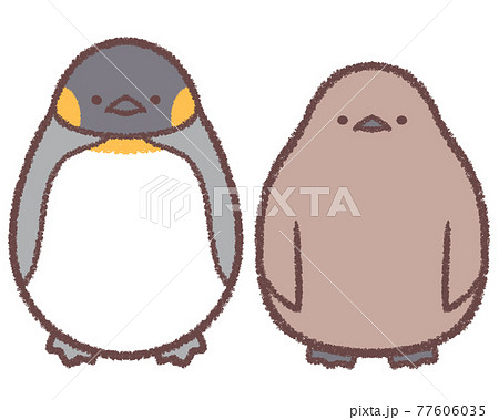 オウサマペンギン親子 77606035