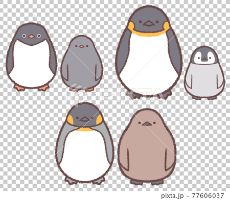 ペンギン親子3種類セット 77606037