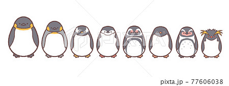 ペンギン8種類ライン 77606038
