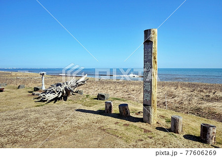 道の駅しらぬか恋問　北海道白糠町 77606269