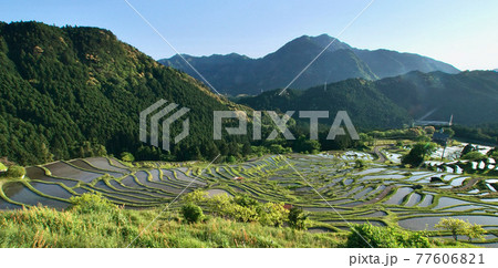田植え前の丸山千枚田の風景　三重県熊野市紀和町 77606821