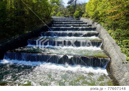 奥沢水源地の階段式溢流路 77607148