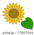 ひまわり_オレンジ 77607544