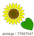 ひまわり_黄色 77607547